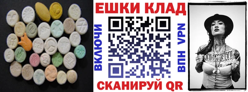 Ecstasy Philipp Plein  Купить где  Алзамай 