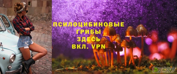 гидропоника Волоколамск