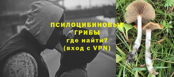 прущая мука Володарск