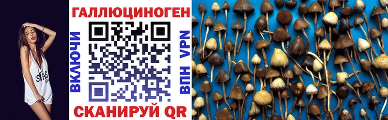 Псилоцибиновые грибы мицелий  Купить где  Алзамай 